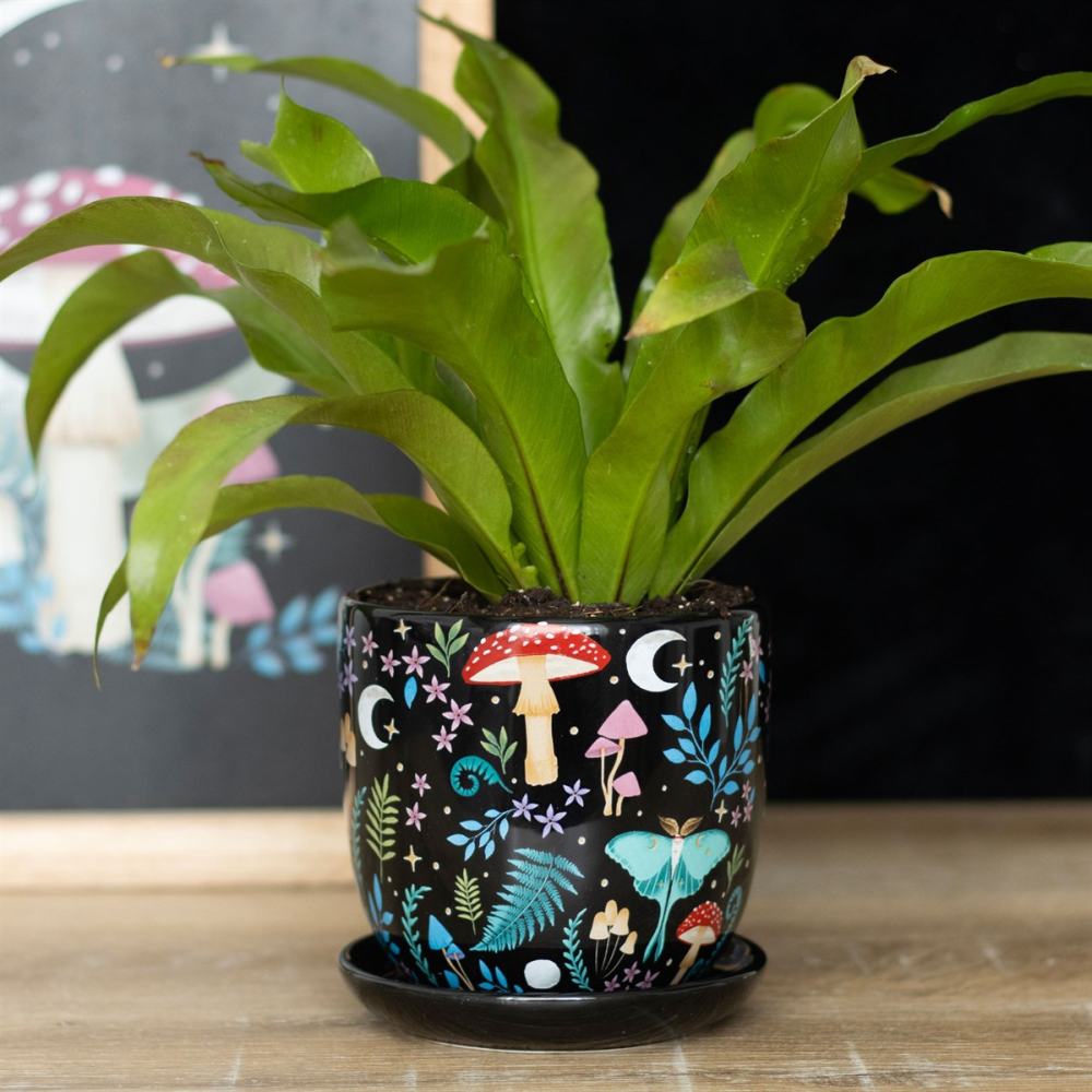 Something Different - Dark Forest Print Ceramic with Saucer Pot - Multicolore